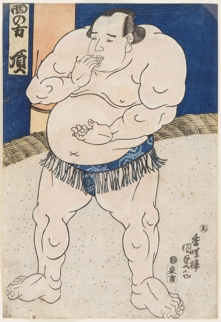 Detail of Sumo Wrestler Itadaki, 1843 by Anonymous