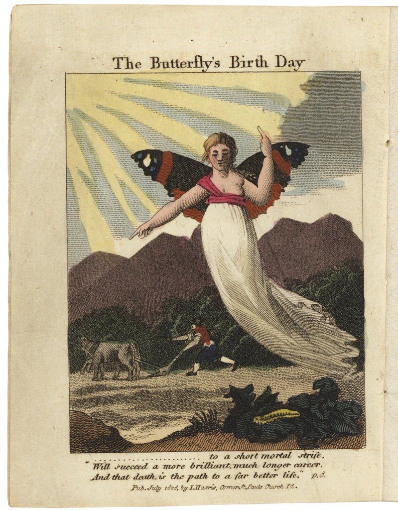 Detail of Title page from The Butterflys Birthday, St. Valentines Day, and Madam Whales Ball, 1808 by Anonymous