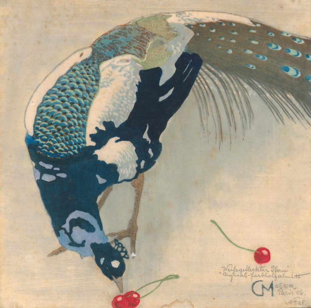 Detail of White-Spotted Peacock, 1906 by Anonymous