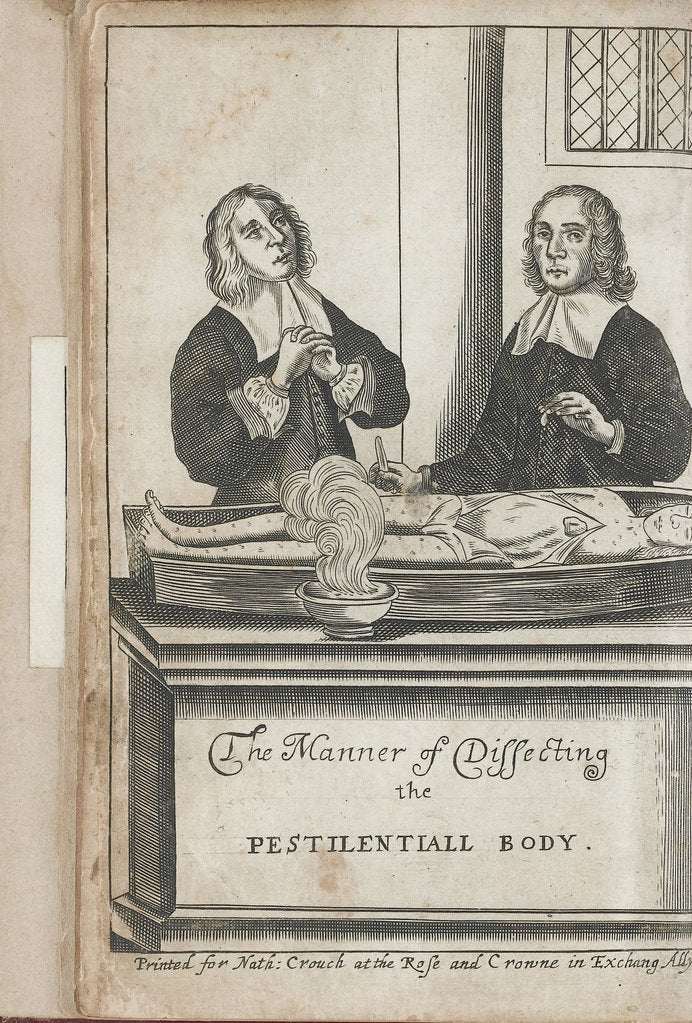 Detail of Two men dissecting a body with plague marks, 1666 by Anonymous