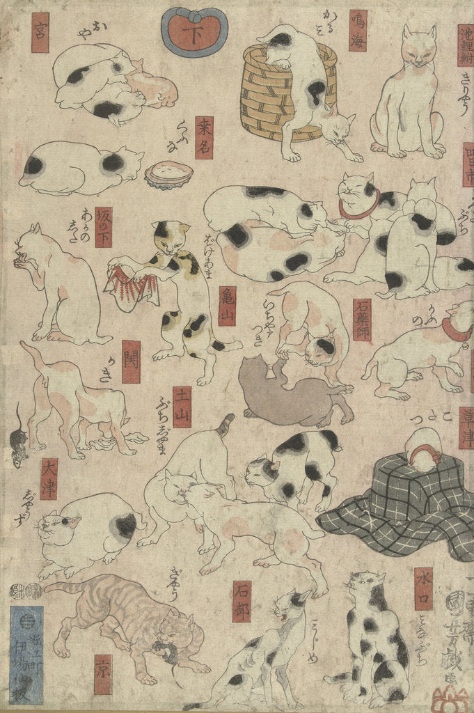 Detail of Cats by Anonymous