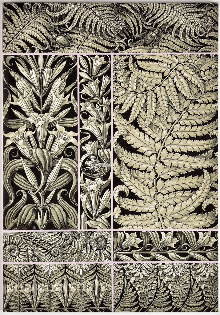 Detail of The plant ornaments, c. 1890 by Anonymous