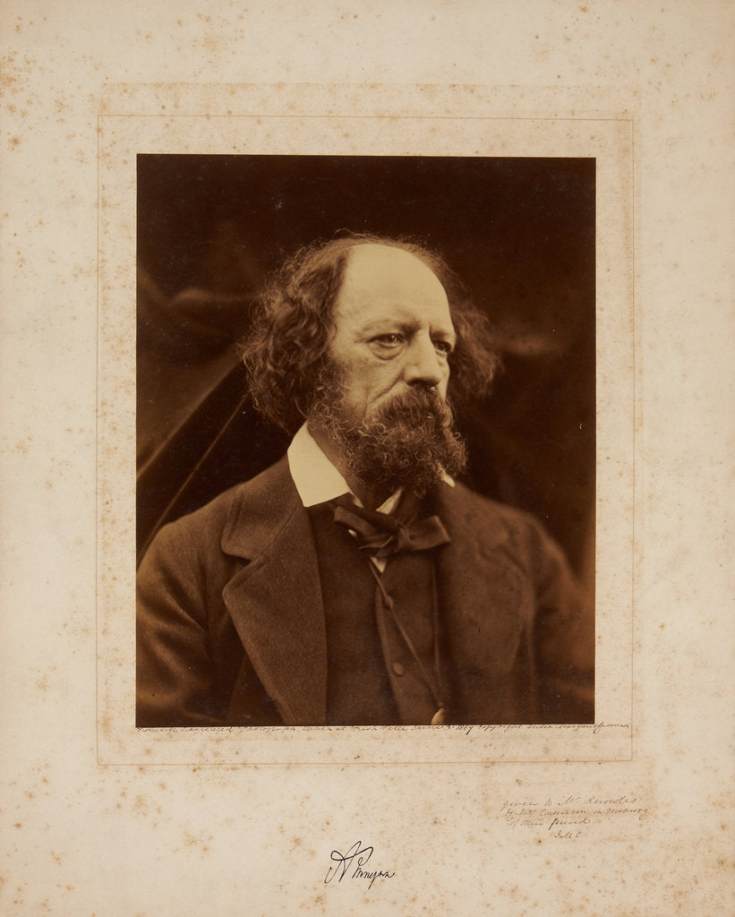 Detail of Alfred, Lord Tennyson, 1869 by Anonymous