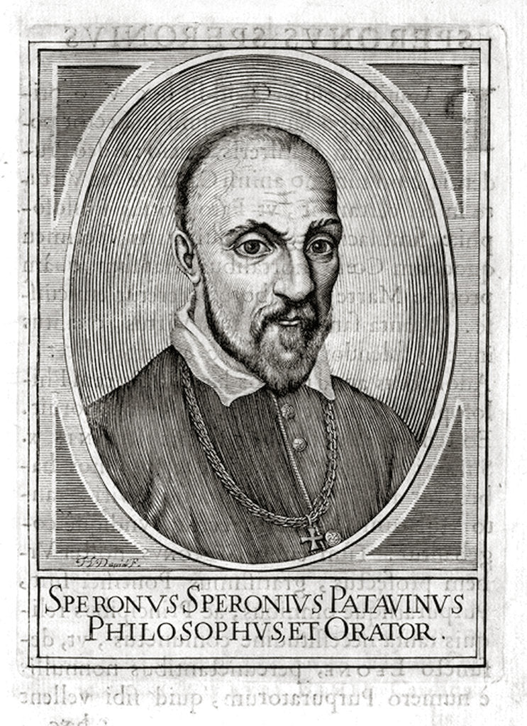 Detail of Portrait of Sperone Speroni by Anonymous