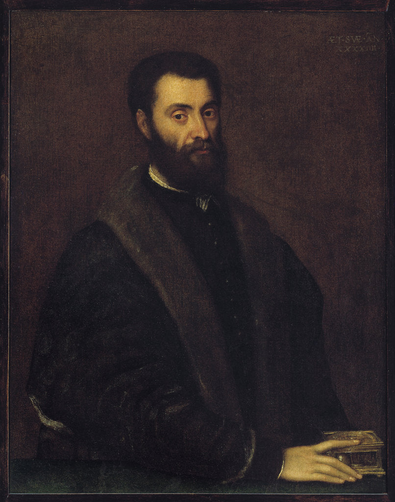 Detail of Portrait of Sperone Speroni by Anonymous