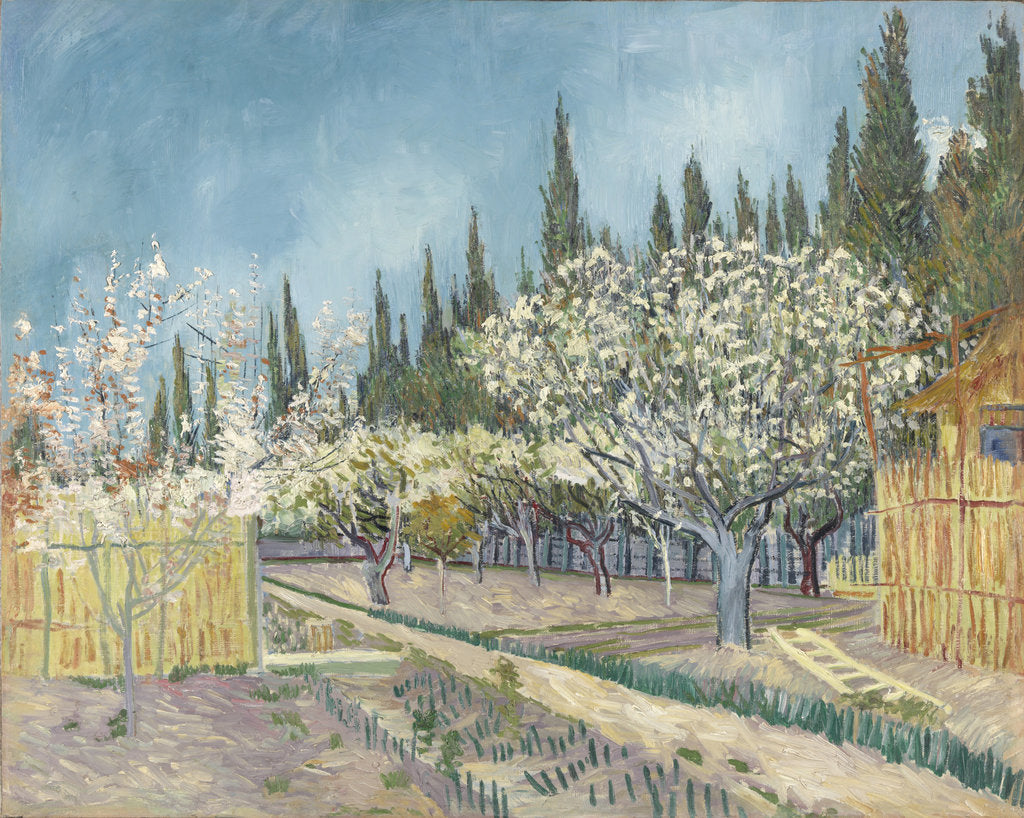 Detail of Orchard bordered by cypresses, 1888 by Anonymous