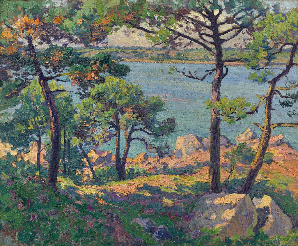 Pines over the Trieux river, 1913 by Anonymous