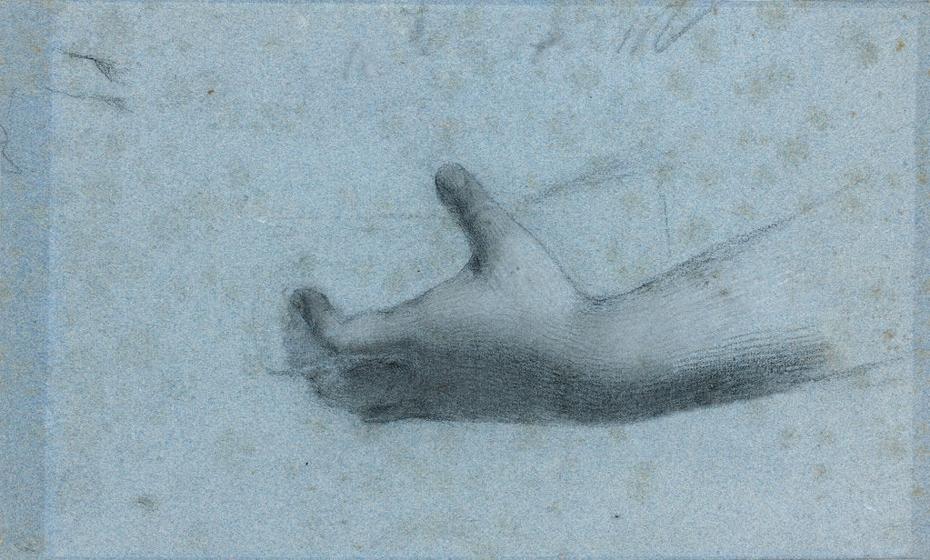 Detail of Hand Study by Anonymous