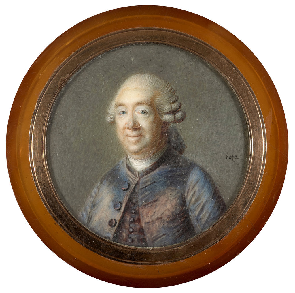 Detail of Portrait of Duke Louis de Noailles, Marshal of France by Anonymous