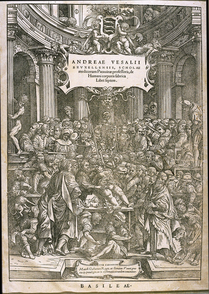 Detail of Title page from De humani corporis fabrica by Andreas Vesalius, ca 1543 by Anonymous