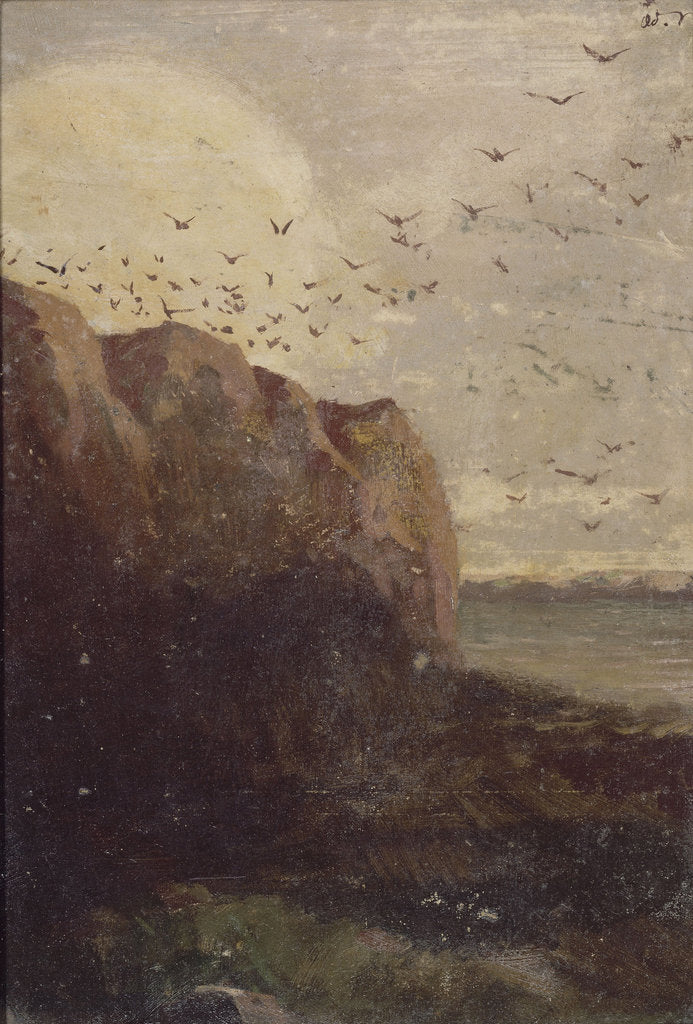 Detail of La Baie des Trépassés, 1875 by Anonymous