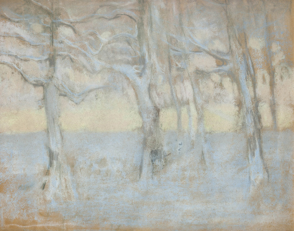 Detail of Trees, 1895 by Anonymous