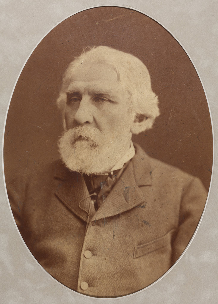 Detail of Portrait of the author Ivan Sergeyevich Turgenev, 1879 by Anonymous