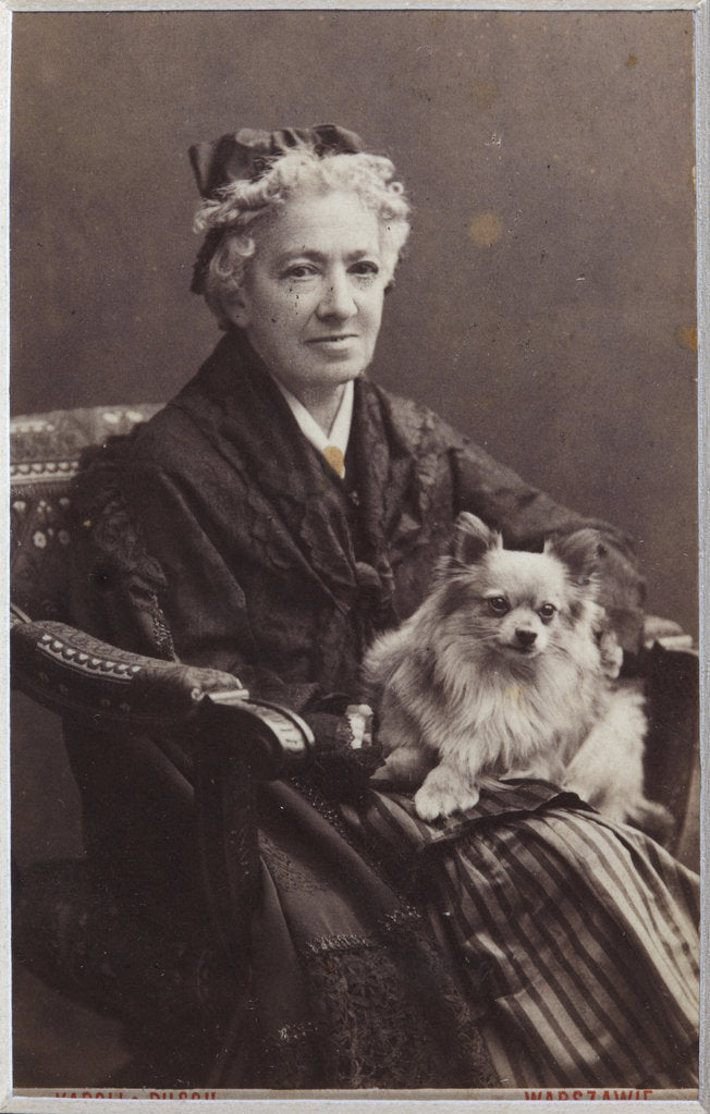 Detail of Elizaveta Vasilyevna Salias De Tournemire, née Sukhovo-Kobylina, 1891 by Anonymous