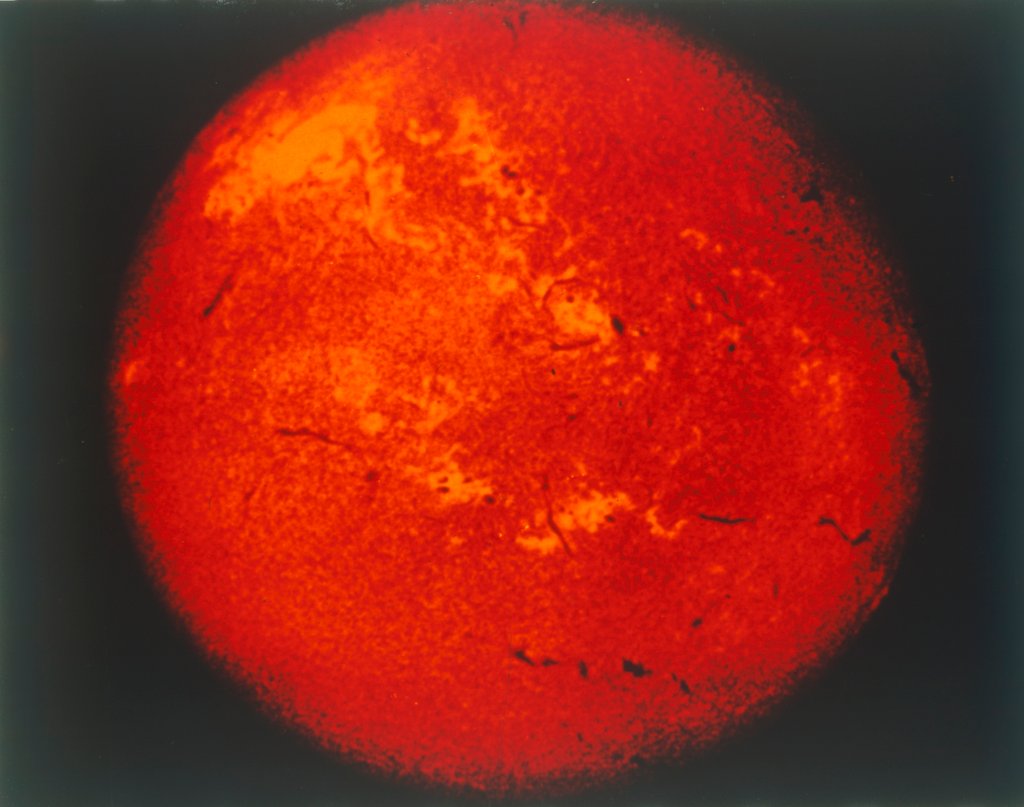 Detail of The Sun in H-alpha light by NASA