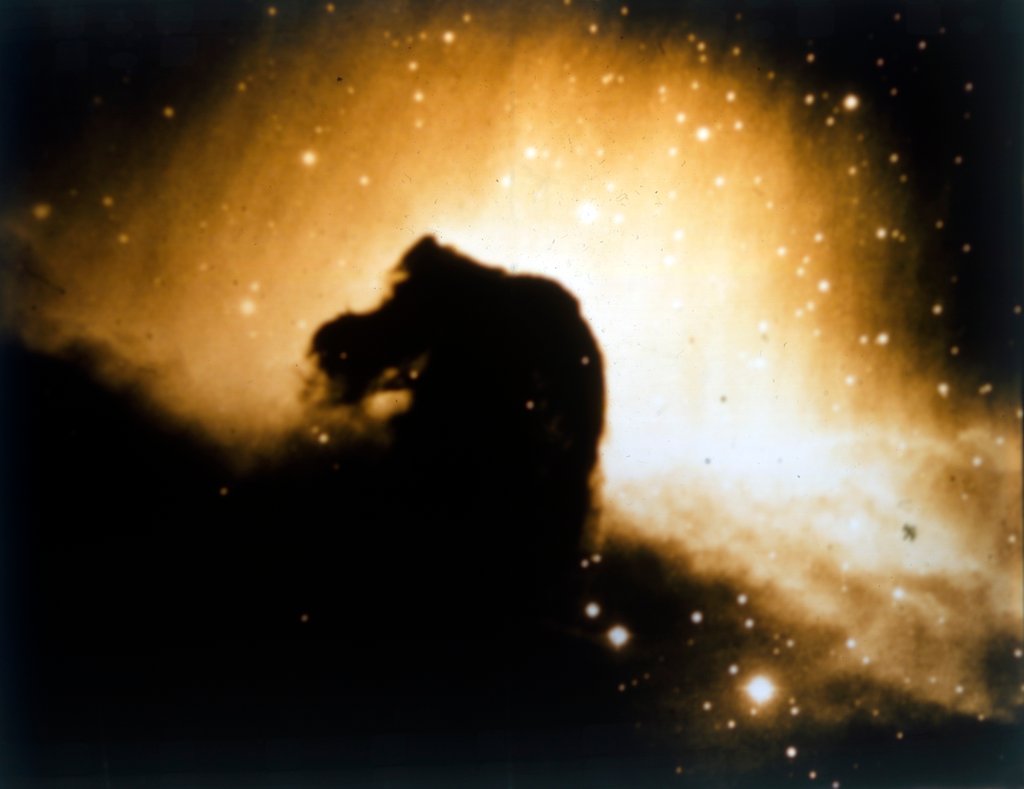 Detail of Horsehead Nebula in Orion by NASA