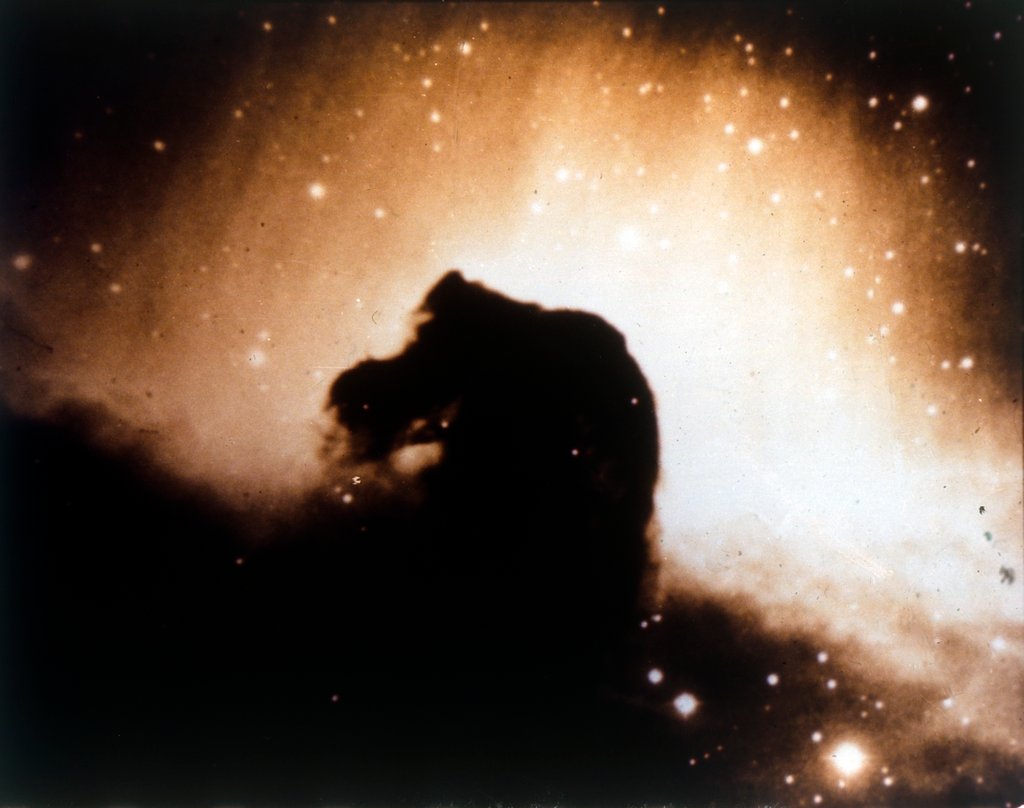 Detail of Horsehead Nebula in Orion by NASA
