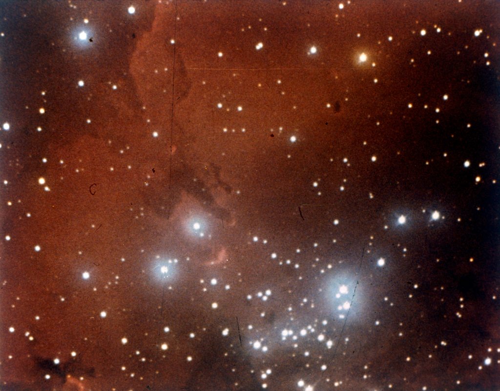 Detail of Nebulosity and star cluster in Serpens by NASA