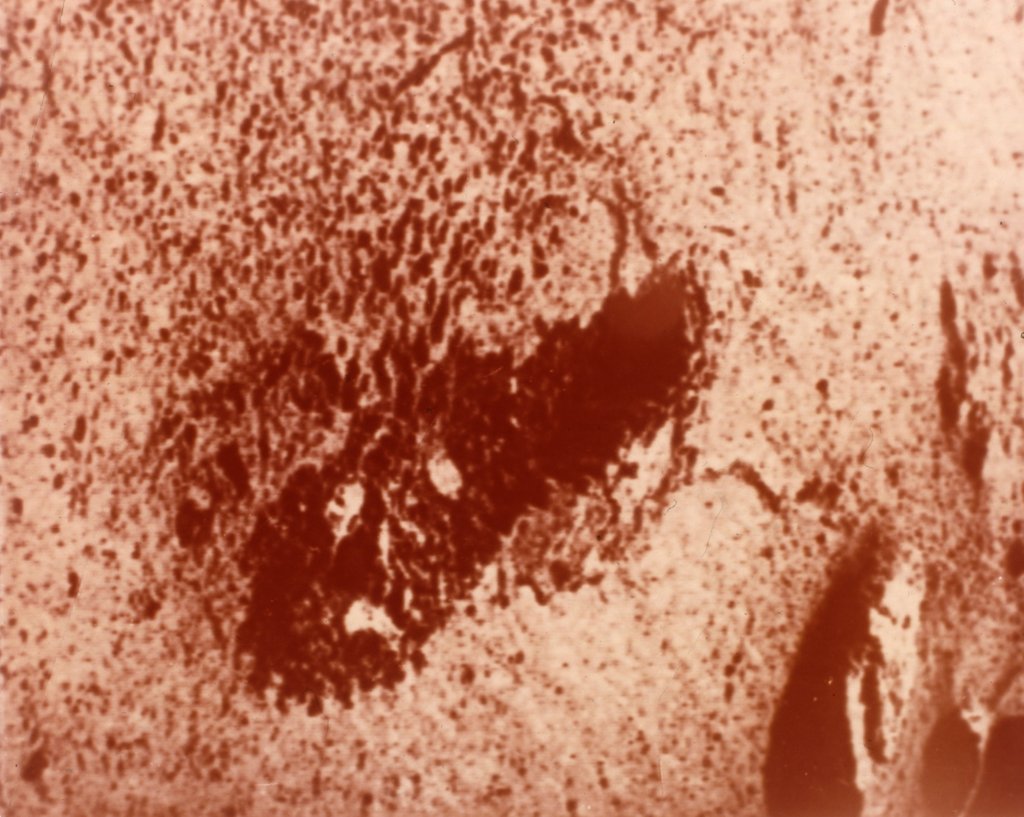 Detail of Trench excavated by surface sampler, Viking 1 Mission to Mars, 1976 by NASA