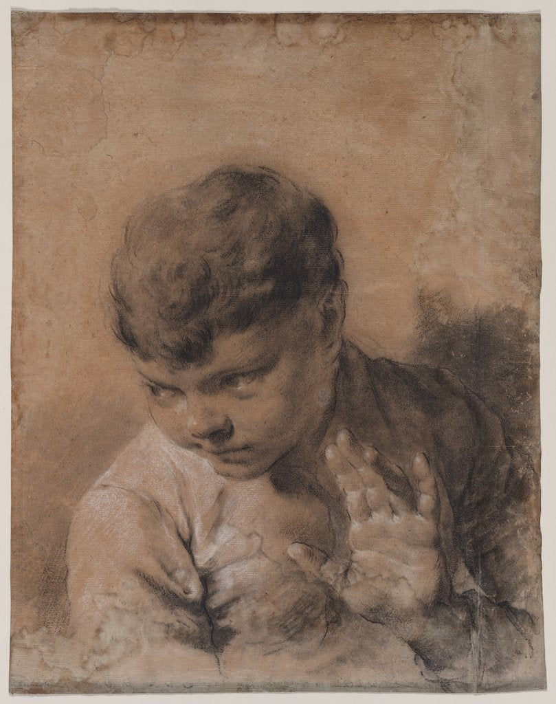 Detail of A Portrait of the Artist's Son Giacomo, c. 1735 by Giovanni Battista Piazzetta
