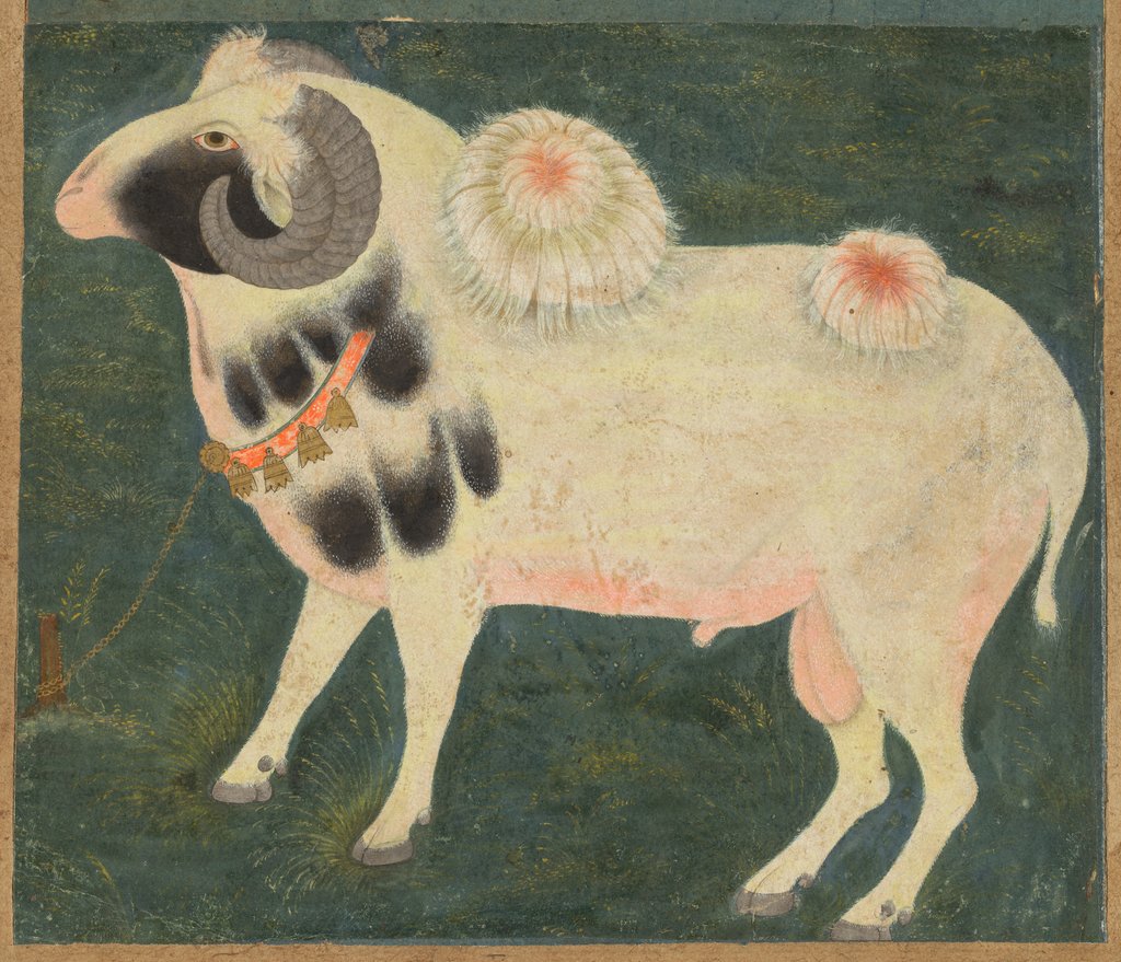 Detail of A royal ram with a gold chain, c. 1585; border added probably 1700s by Unknown