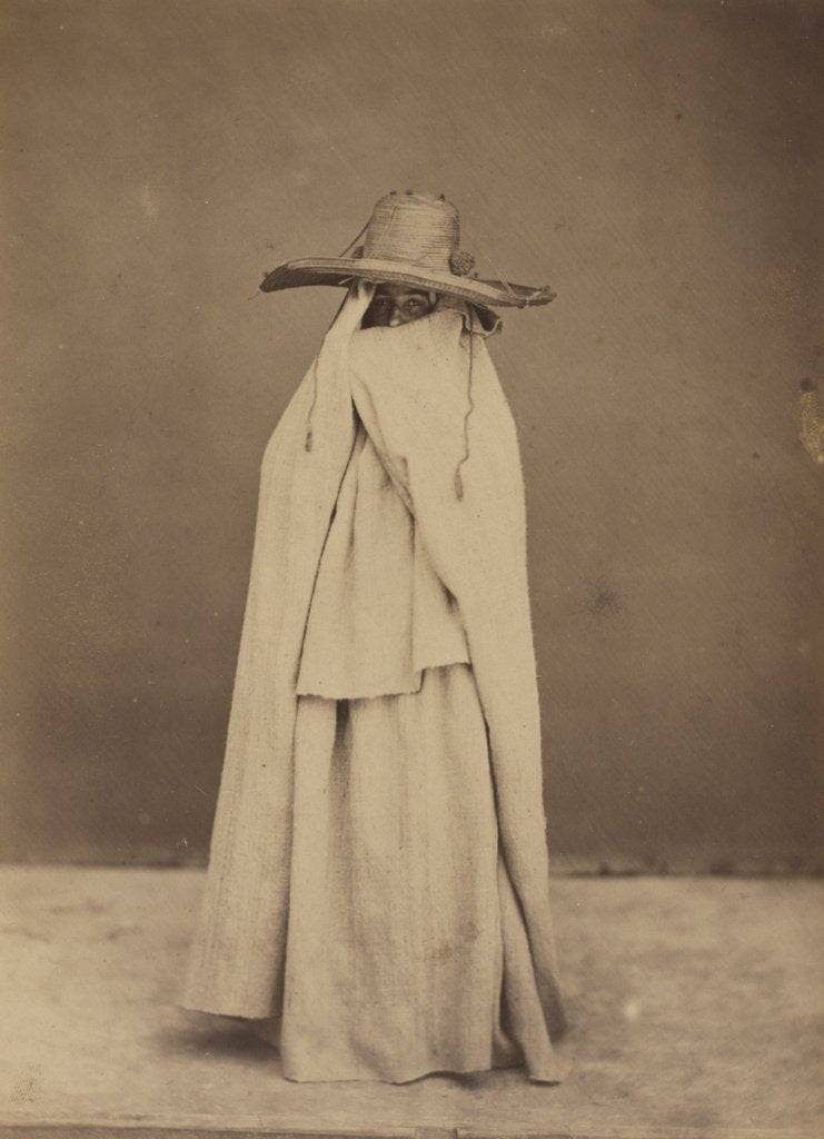 Detail of Algerian Woman, late 1850s by Gustave de Beaucorps