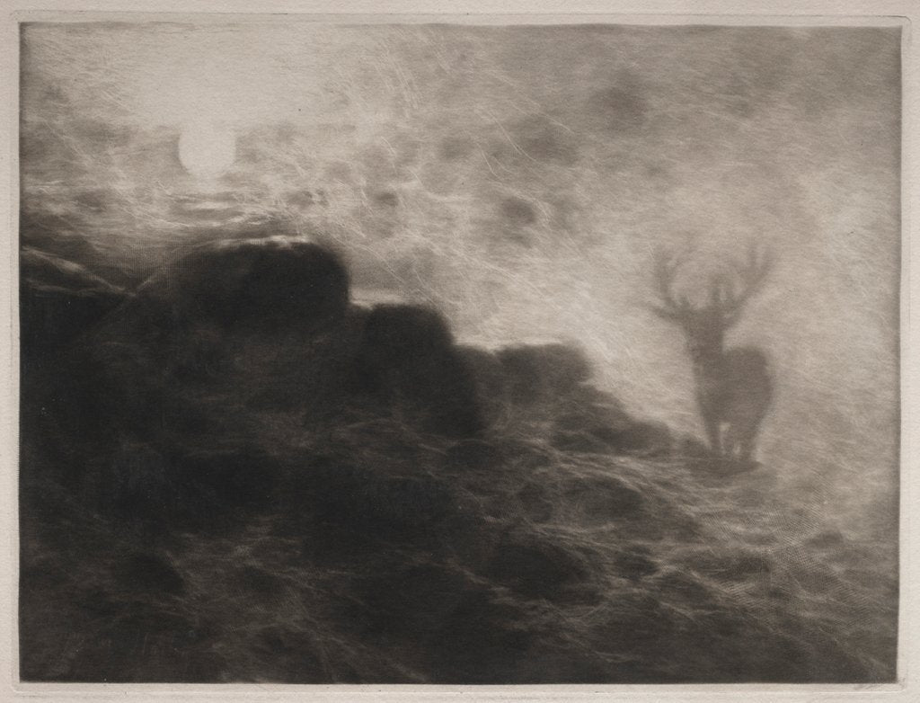 Detail of An Early Riser, 1897 by Francis Seymour Haden