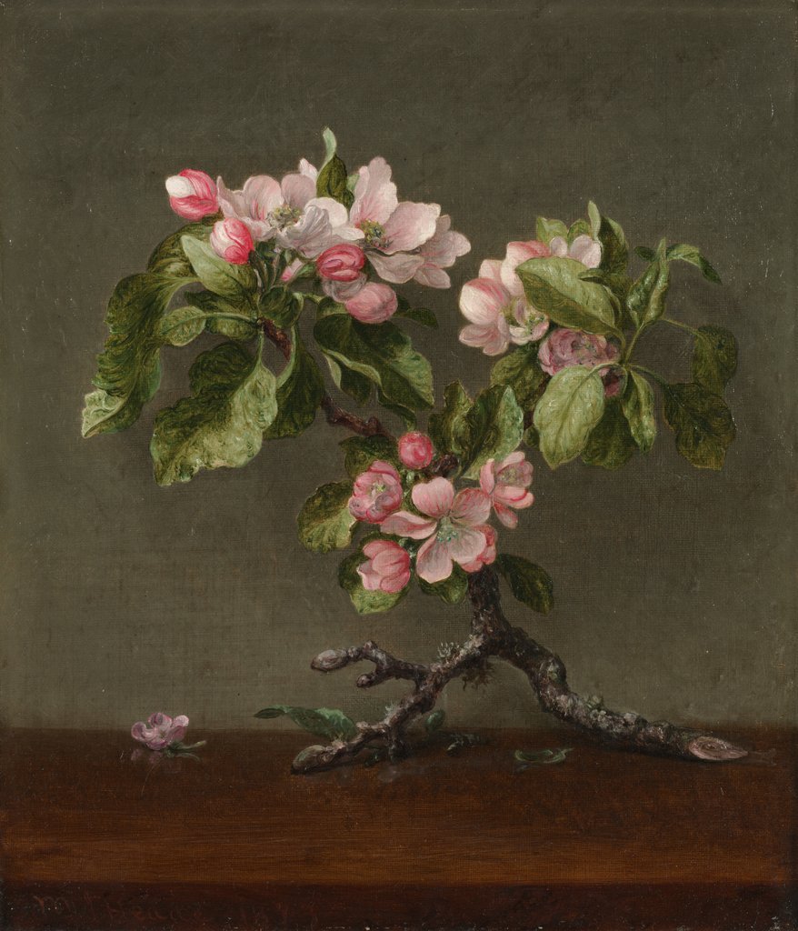 Detail of Apple Blossoms, 1873 by Martin Johnson Heade