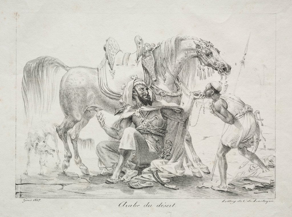 Detail of Arab of the Desert, 1817 by Antoine-Jean Gros
