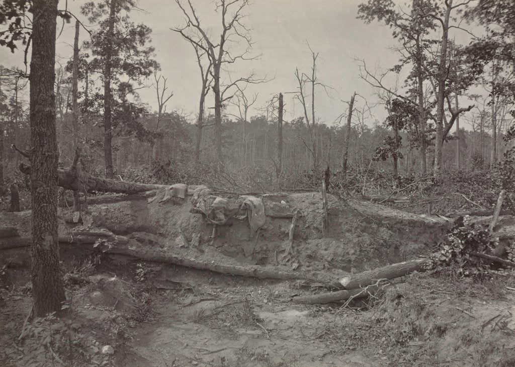 Detail of Battlefield of New Hope Church, Georgia, No. 2, 1865-1866 by George N. Barnard