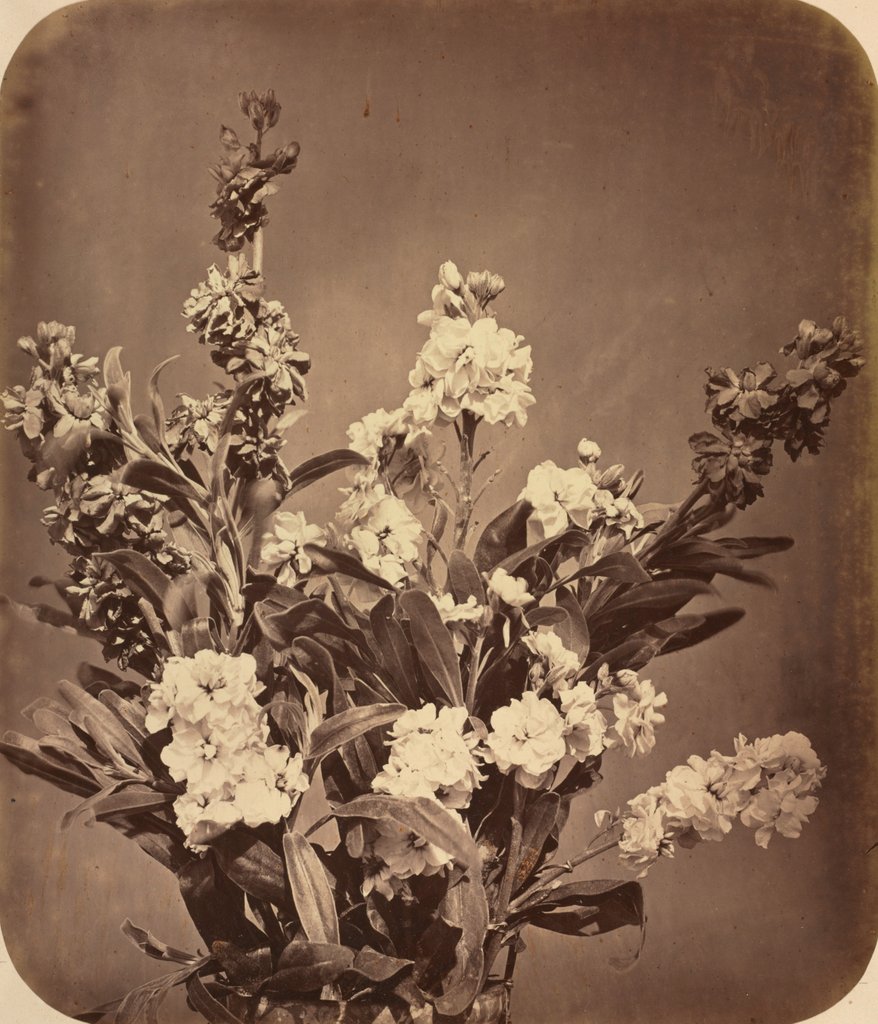 Detail of Bouquet, c. 1855 by Adolphe Braun