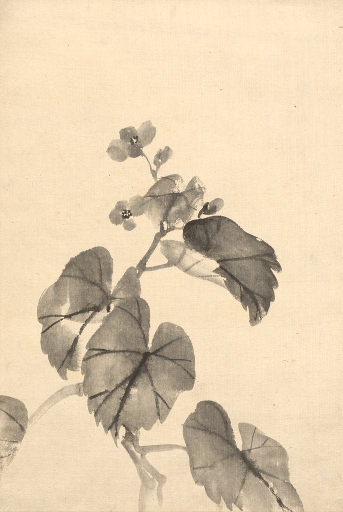 Detail of Branch of Begonia in Bloom by Kono Bairei