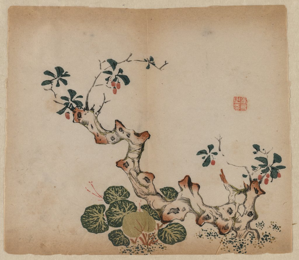 Detail of Branching Stump, 1368-1644 by Unknown