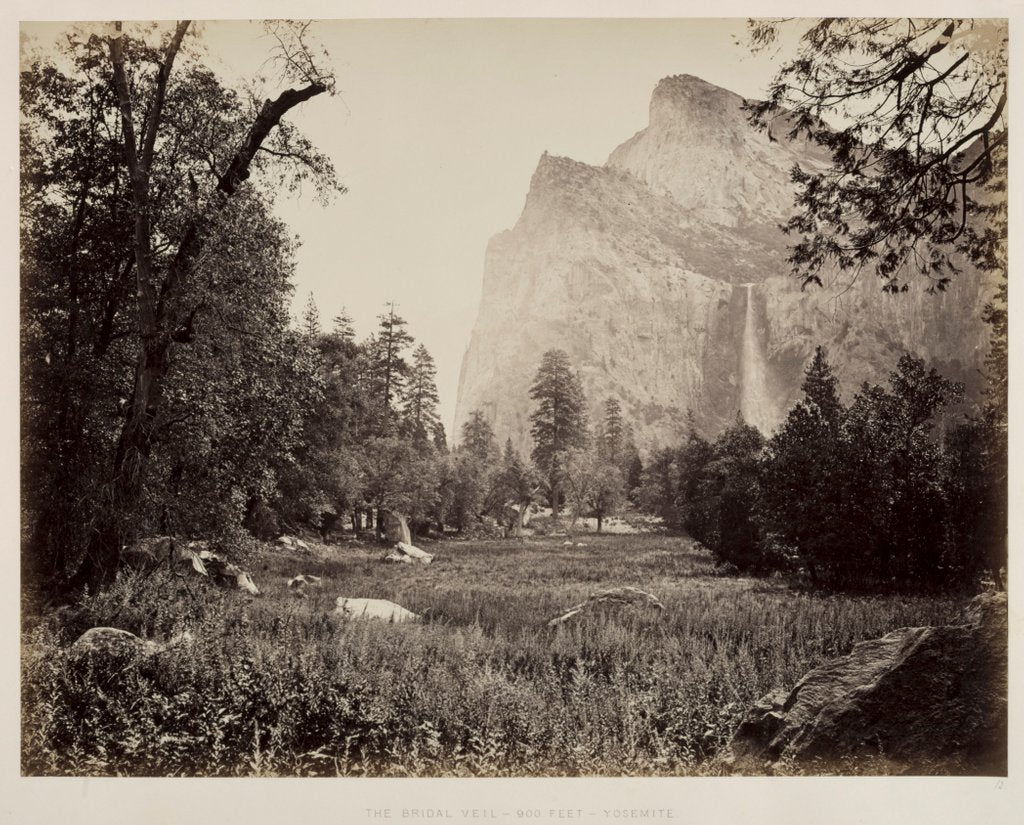 Detail of Bridal Veil, Yosemite, c. 1865-1866 by Carleton E. Watkins
