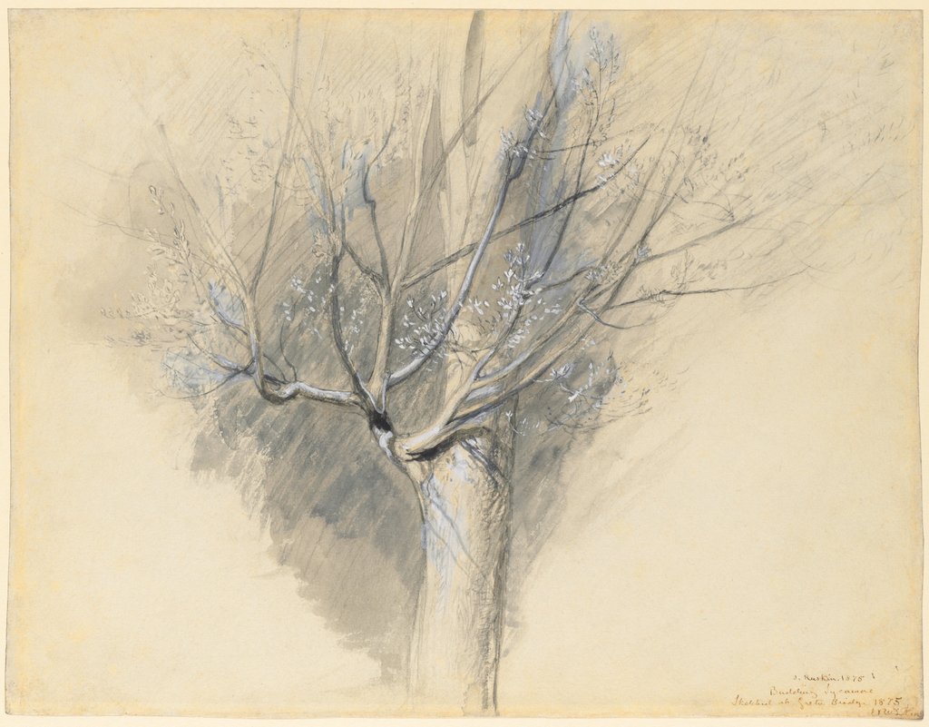 Detail of Budding Sycamore, c. 1876 by John Ruskin