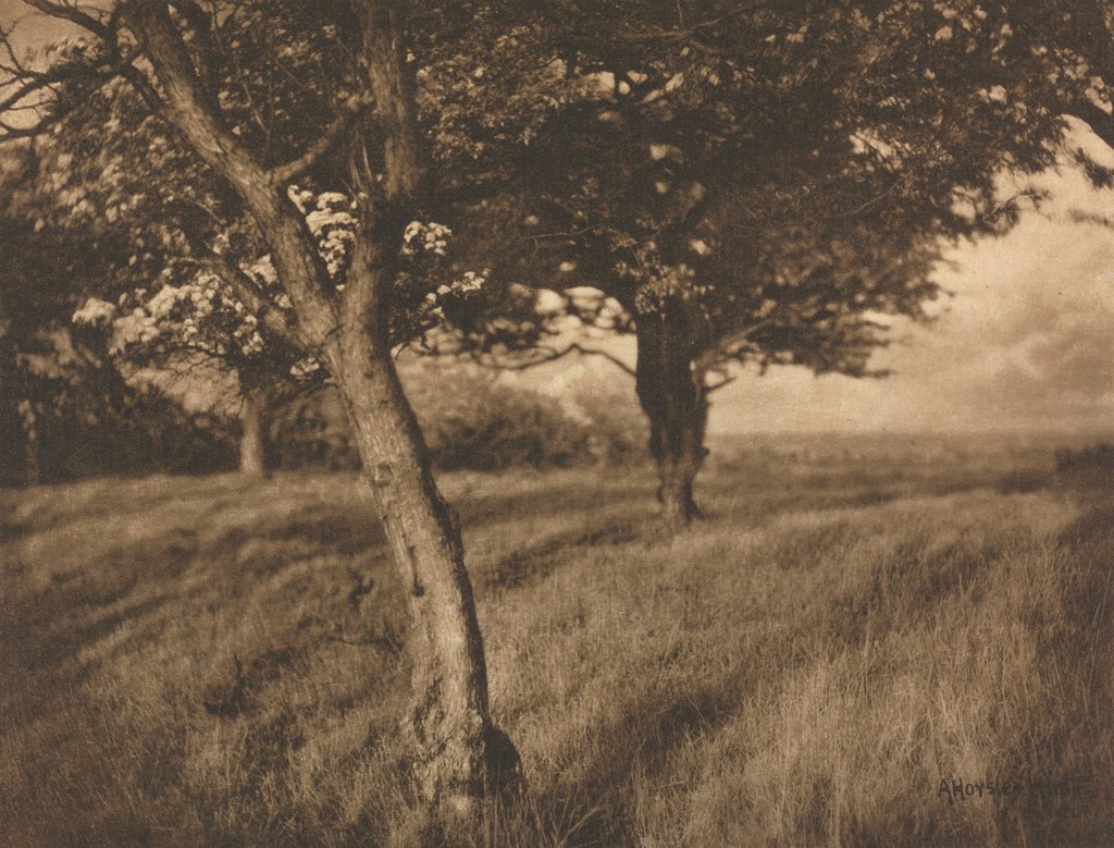 Detail of Camera Work: Beyond, 1905 by A. Horsley Hinton