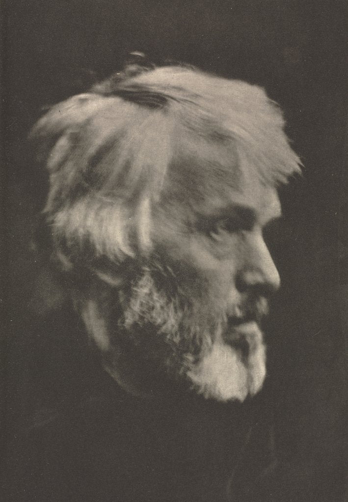 Detail of Camera Work: Carlyle, 1913 by Julia Margaret Cameron
