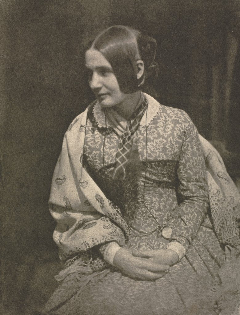 Detail of Camera Work: Lady in Flowered Dress, 1912 by David Octavius Hill; Robert Adamson