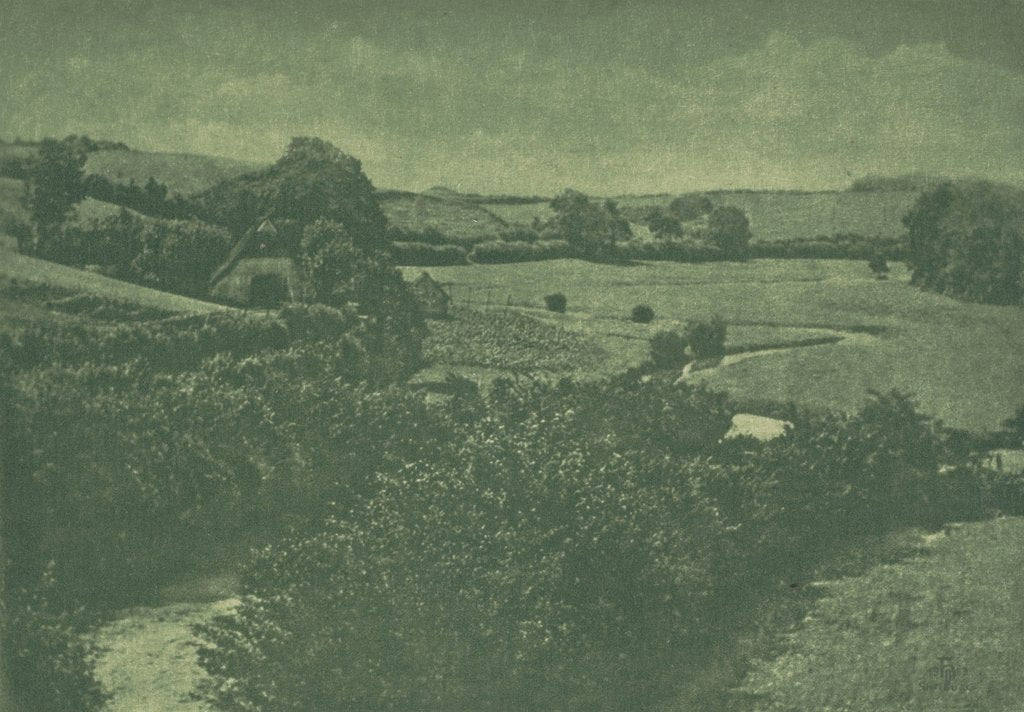 Detail of Camera Work: Meadow-brook, 1904 by Theodor Hofmeister; Oskar Hofmeister