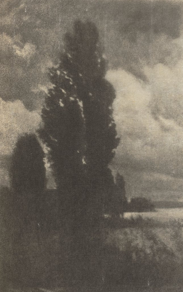 Detail of Camera Work: Poplars and Clouds, 1906 by Hans Watzek