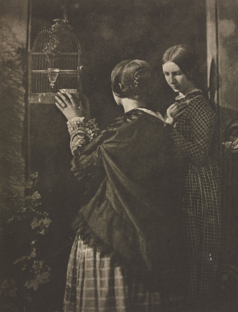 Detail of Camera Work: The Bird-Cage, 1909 by David Octavius Hill; Robert Adamson