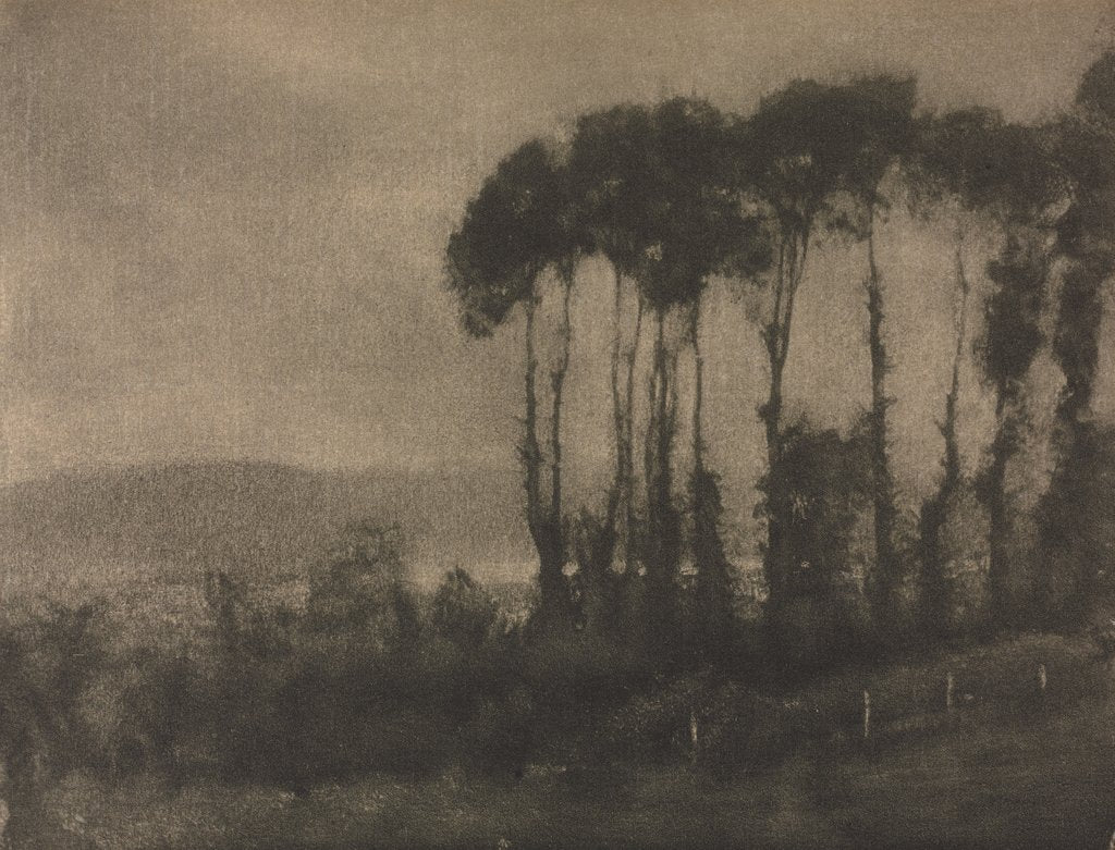 Detail of Camera Work: Toucques Valley, 1906 by Robert Demachy