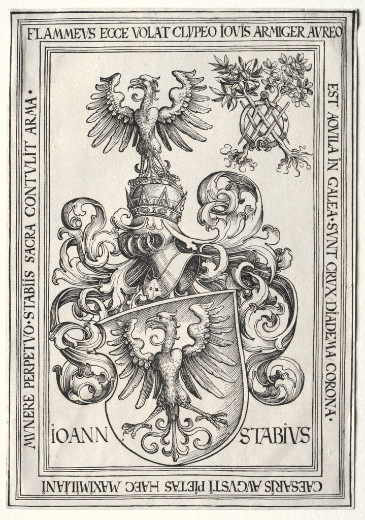 Detail of Coat of Arms of Johann Stabius by Wolf Traut
