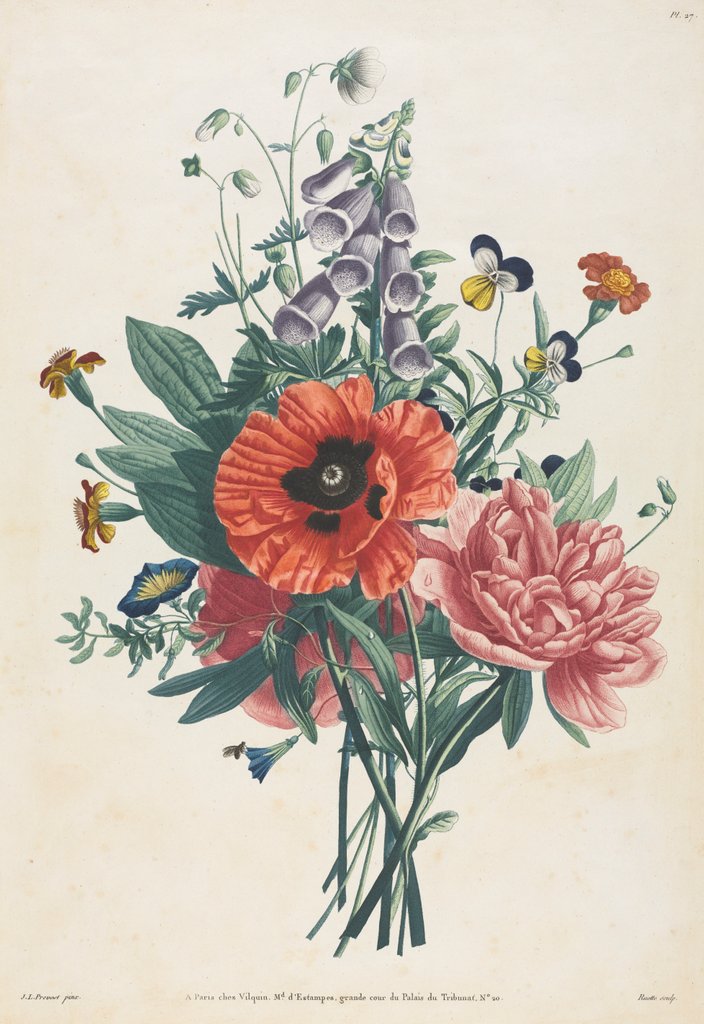 Detail of Collection of Flowers and Fruits Painted after Nature: Bouquet of Foxglove, Clematis…, 1805 by Louis Charles Ruotte; Jean Louis Prévost