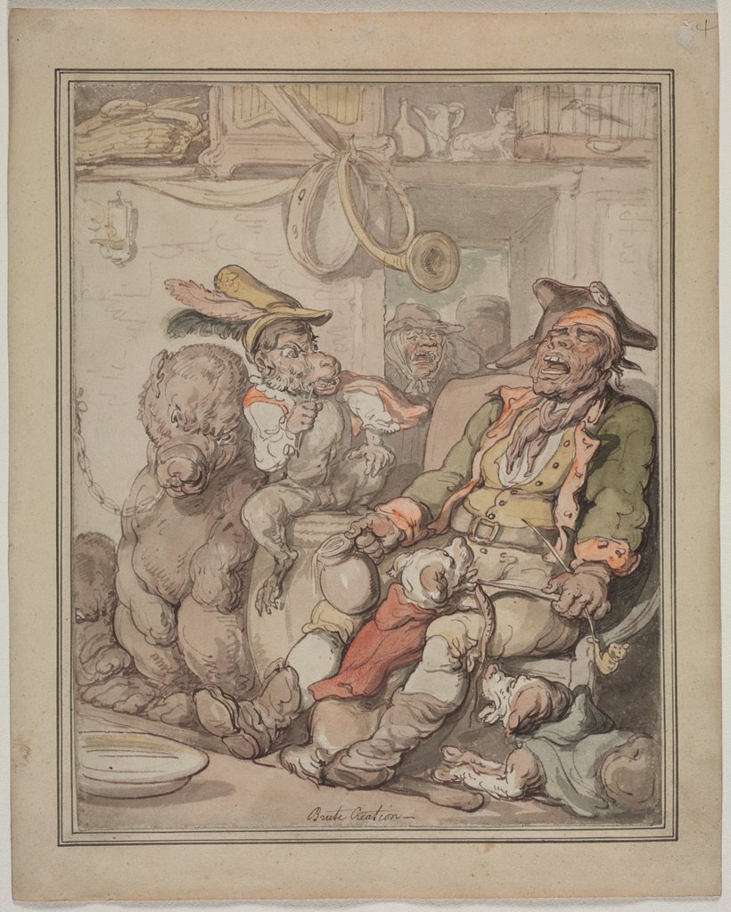 Detail of Comparative Anatomy Study, c. 1810-1820 by Thomas Rowlandson