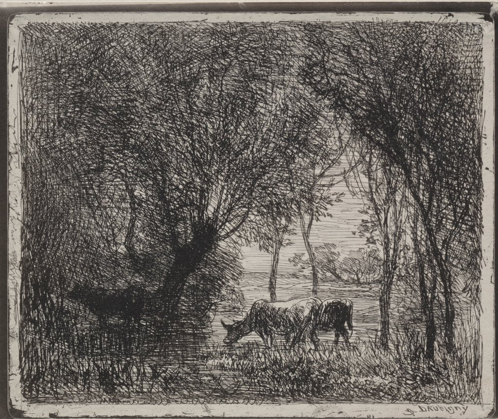 Detail of Cows in the Woods, original impression 1862, printed in 1921 by Charles François Daubigny