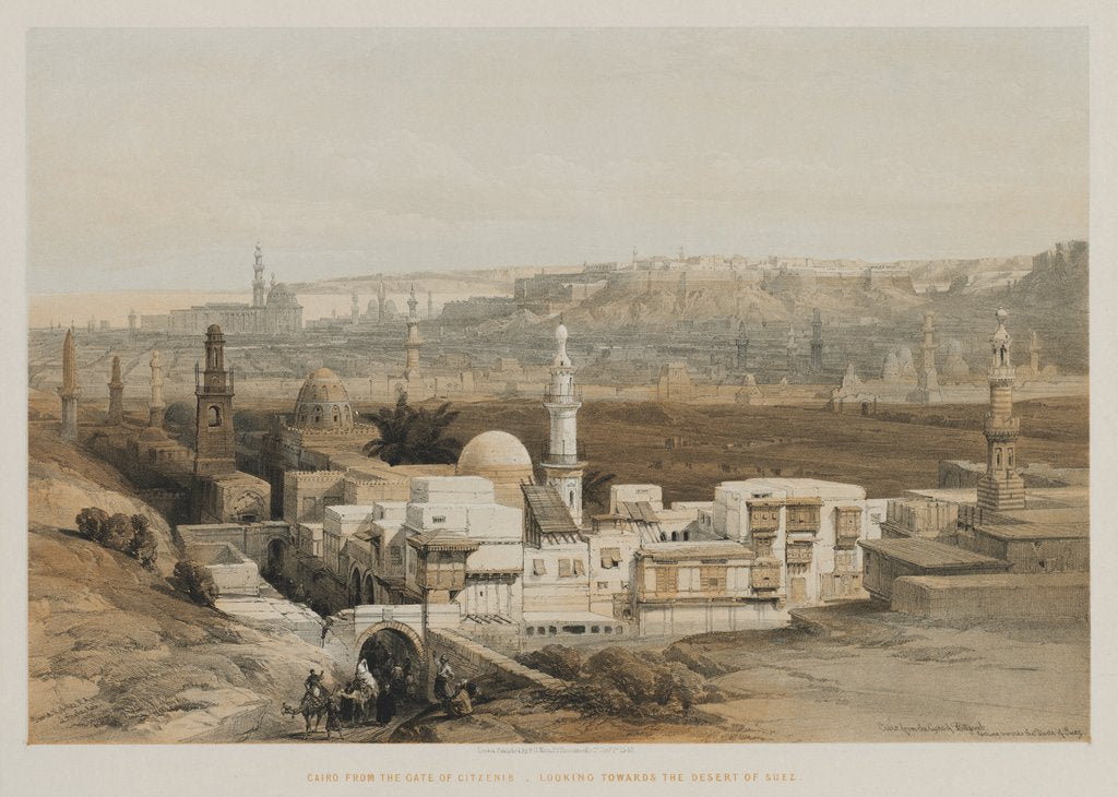 Detail of Egypt and Nubia, Volume III: Cairo from the Gate of Citzenib, Looking towards the Desert of Suez, 18 by Louis Haghe
