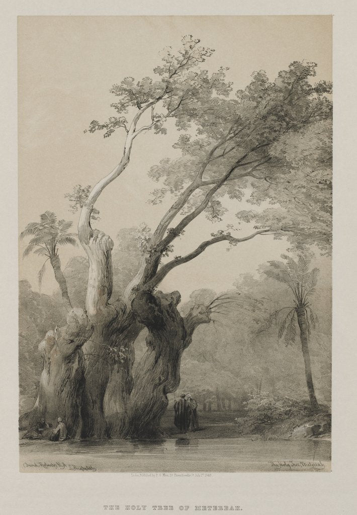 Detail of Egypt and Nubia, Volume III: The Holy Tree of Metereah, 1849 by Louis Haghe