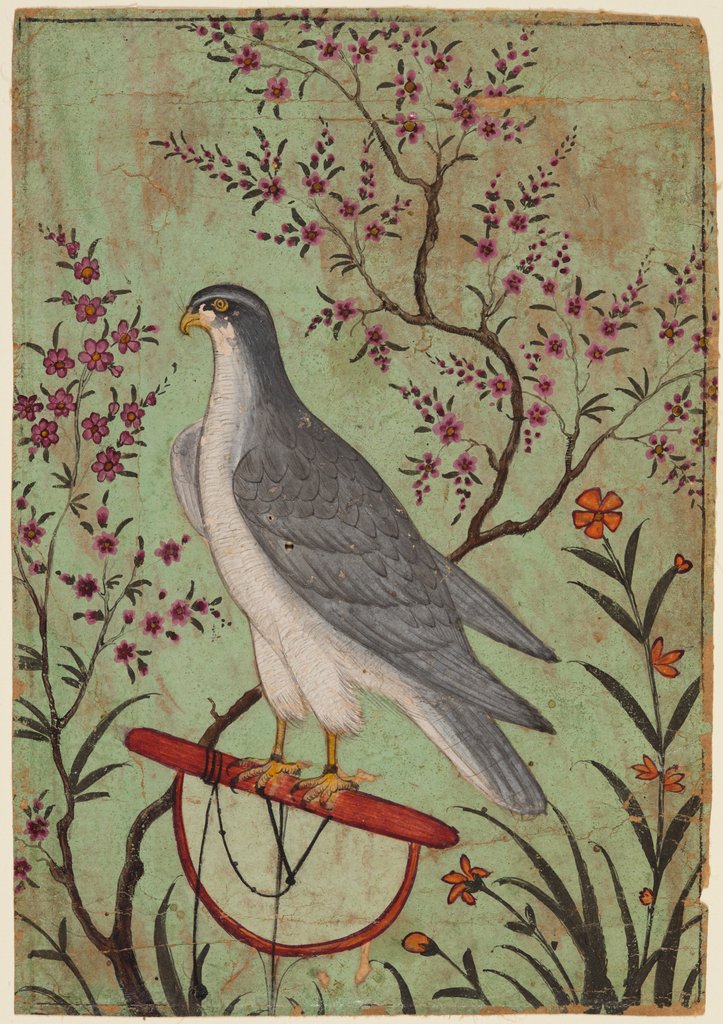 Detail of Falcon on a Perch, c. 1610 by Unknown