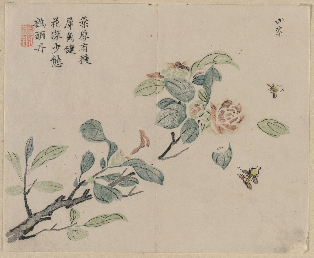Detail of Flowering Branch with Bees, 18th Century by Unknown